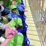 あさがおの種蒔き
